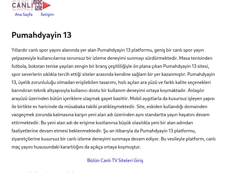 Pumahdyayin 13 - Ekran Görüntüsü